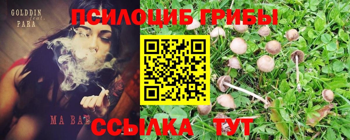 Галлюциногенные грибы GOLDEN TEACHER  Вход с VPN  Армавир  Галлюциногенные грибы ЛСД 