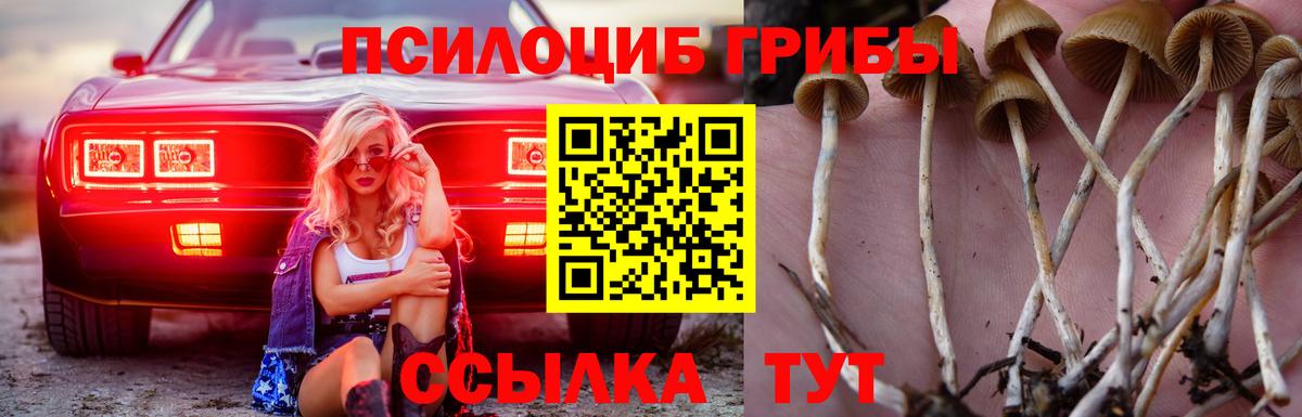 Псилоцибиновые грибы MAGIC MUSHROOMS Армавир